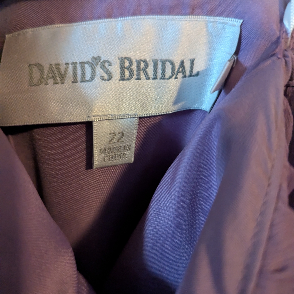 David's Bridal Purple Dress